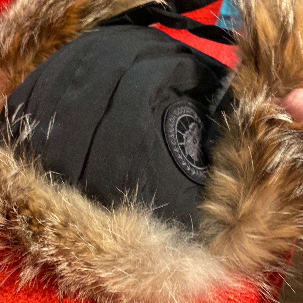 Canada goose hat